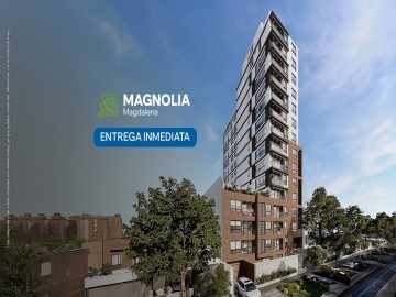 Magnolia