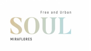 Logo Soul